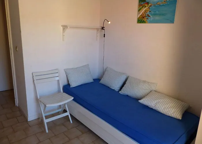 Daire Familial Proche Au Lavandou Avec Terrasse Et Garage - Fr-1-308-109